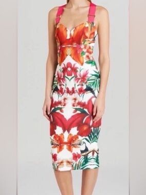 Ted Baker Jameela Tropical Toucan Floral Sheath Dress – Size 0 (XS)